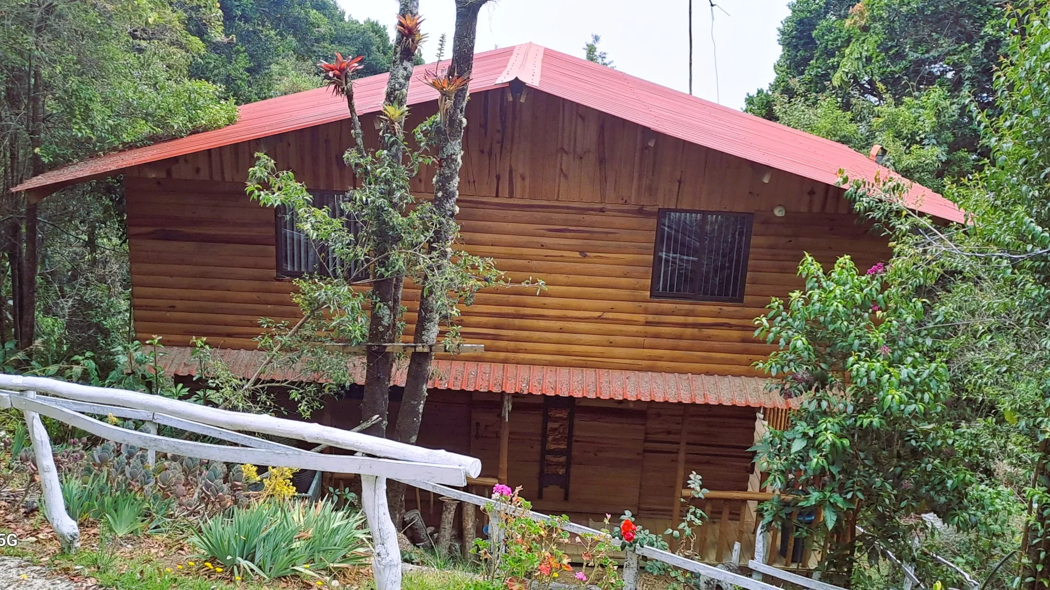 COZY MOUNTAIN RETREAT COTTAGE - image 2