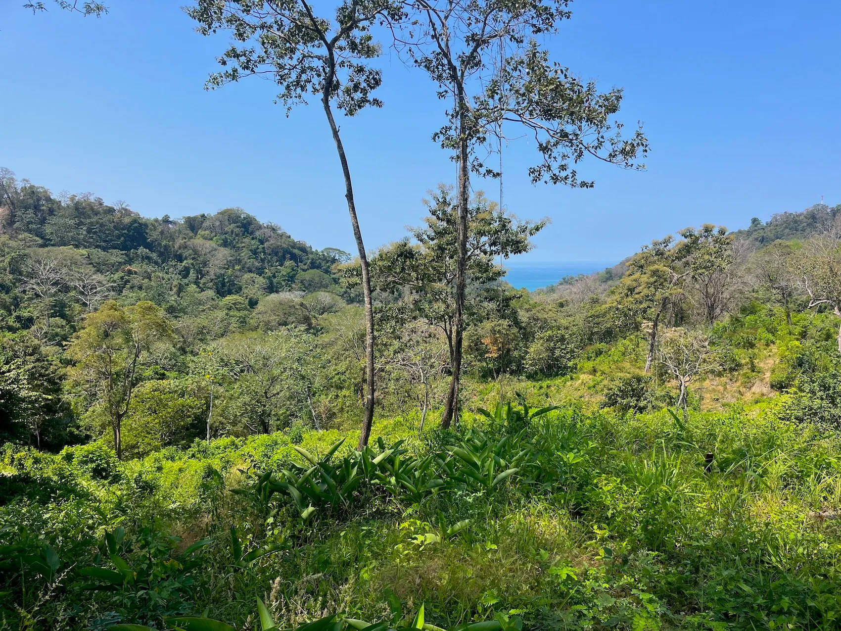 10,000m² Ocean-View Lot in Gated Community – 15 Minutes from Santa Teresa - image 5