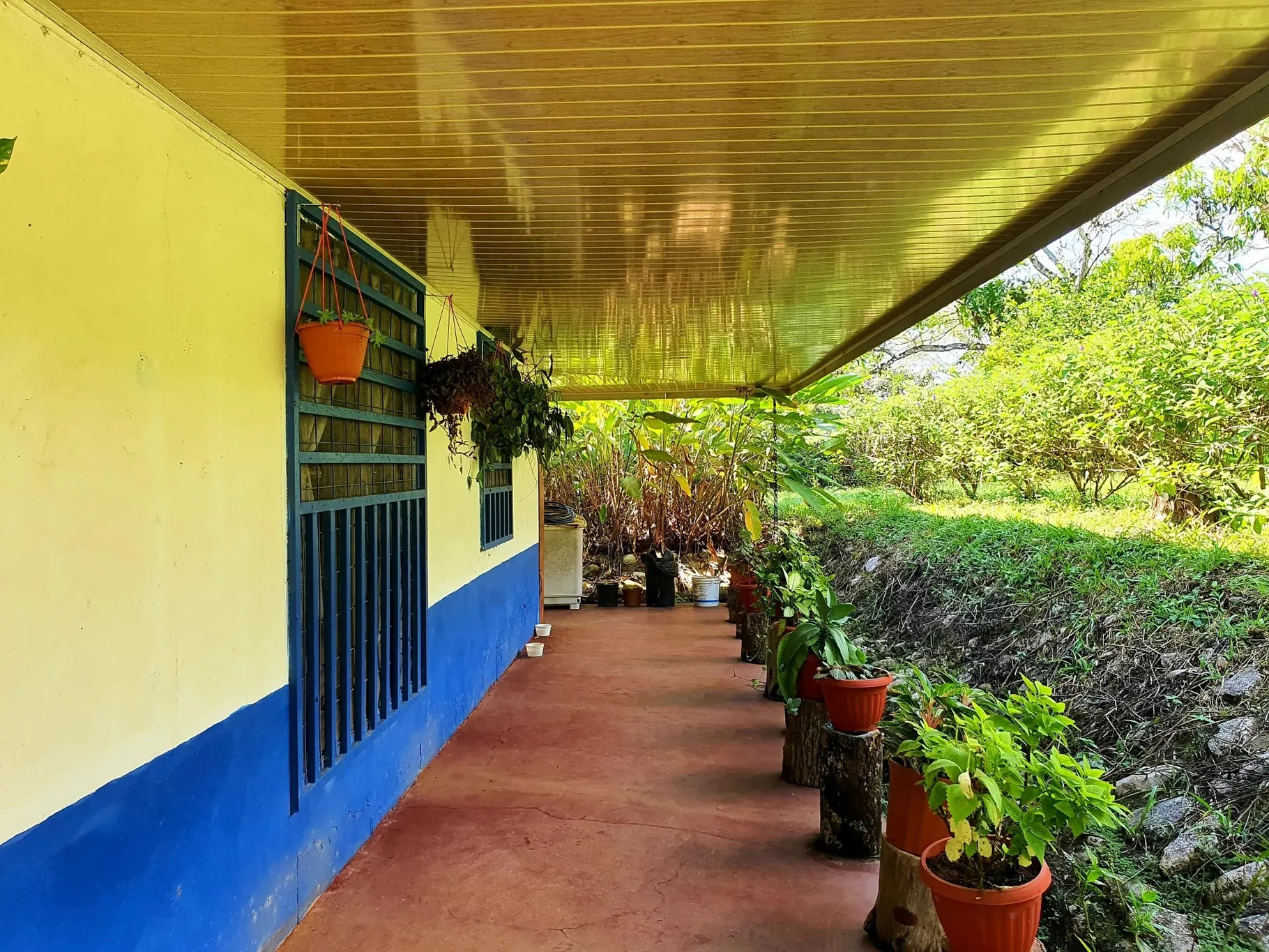 Land to develop a country lifestyle! - image 9