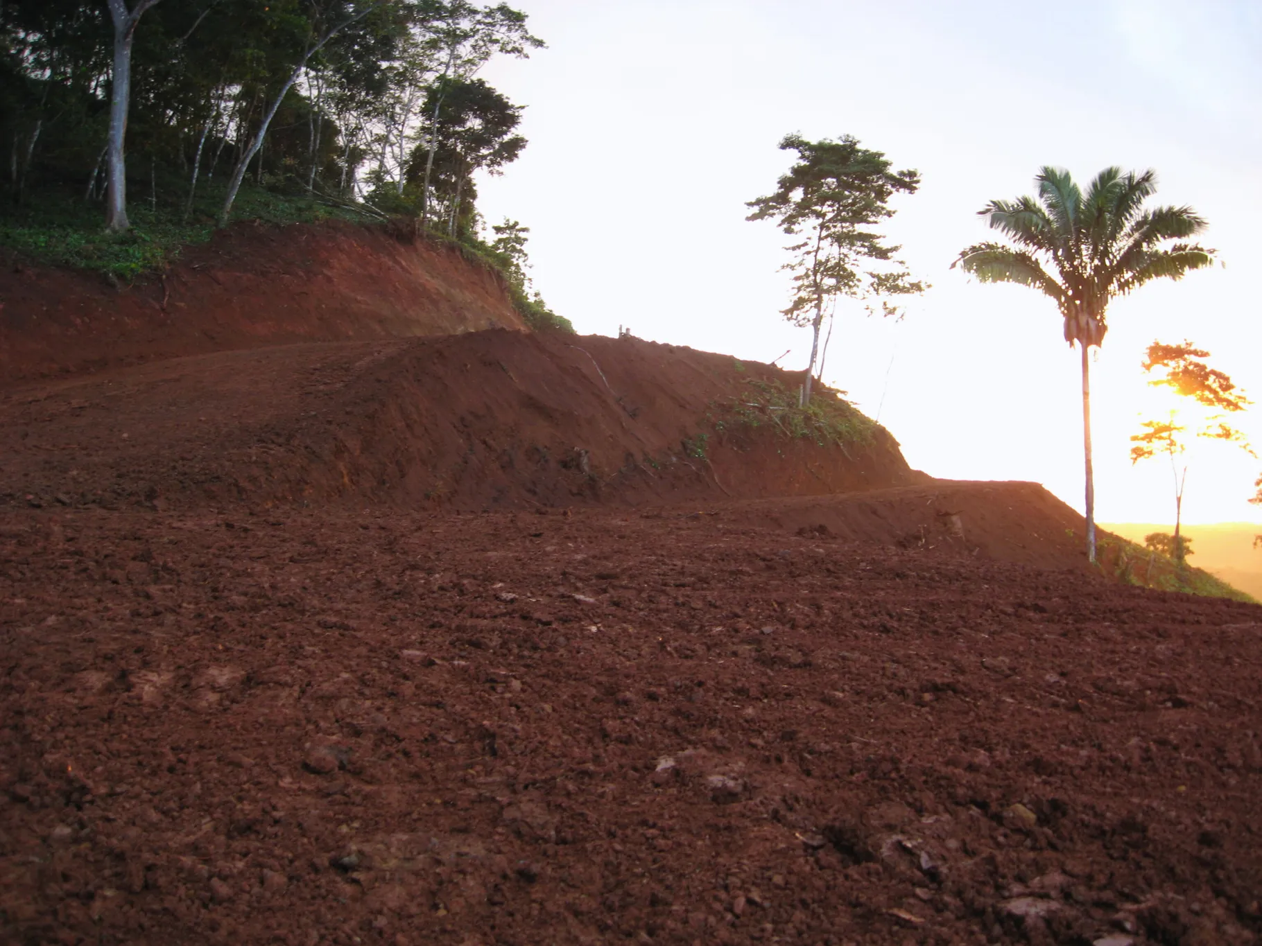 Prime Oceanview Property in Playa Coyote, San Francisco de Coyote – Unmatched Location! - image 8