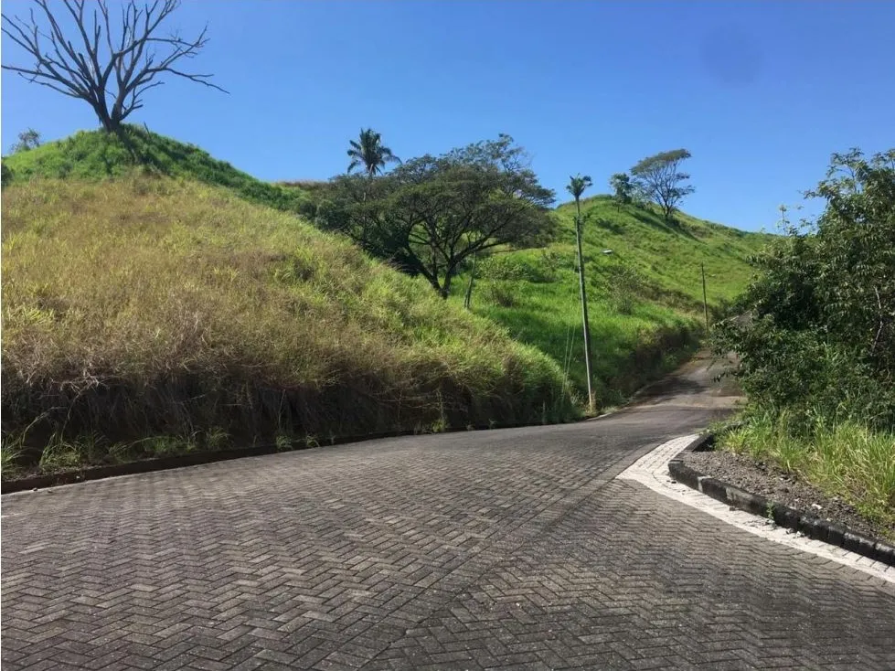 Spectacular 5062 mts Lot In A Private Community near Playa Hermosa - image 6
