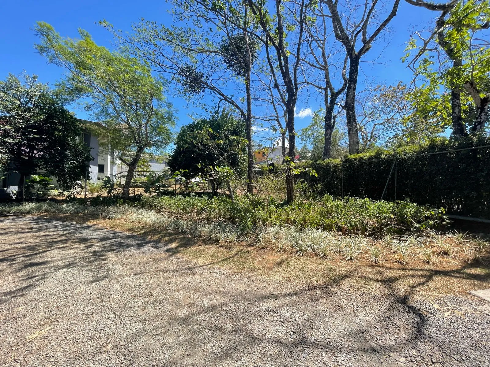 FOR SALE: Modern and Bright Home in Ciudad Colón, Surrounded by Nature - image 2