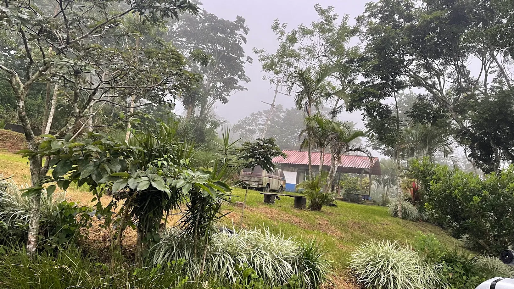 LOT FOR SALE IN SAN PEDRO, SAN RAMON - image 11