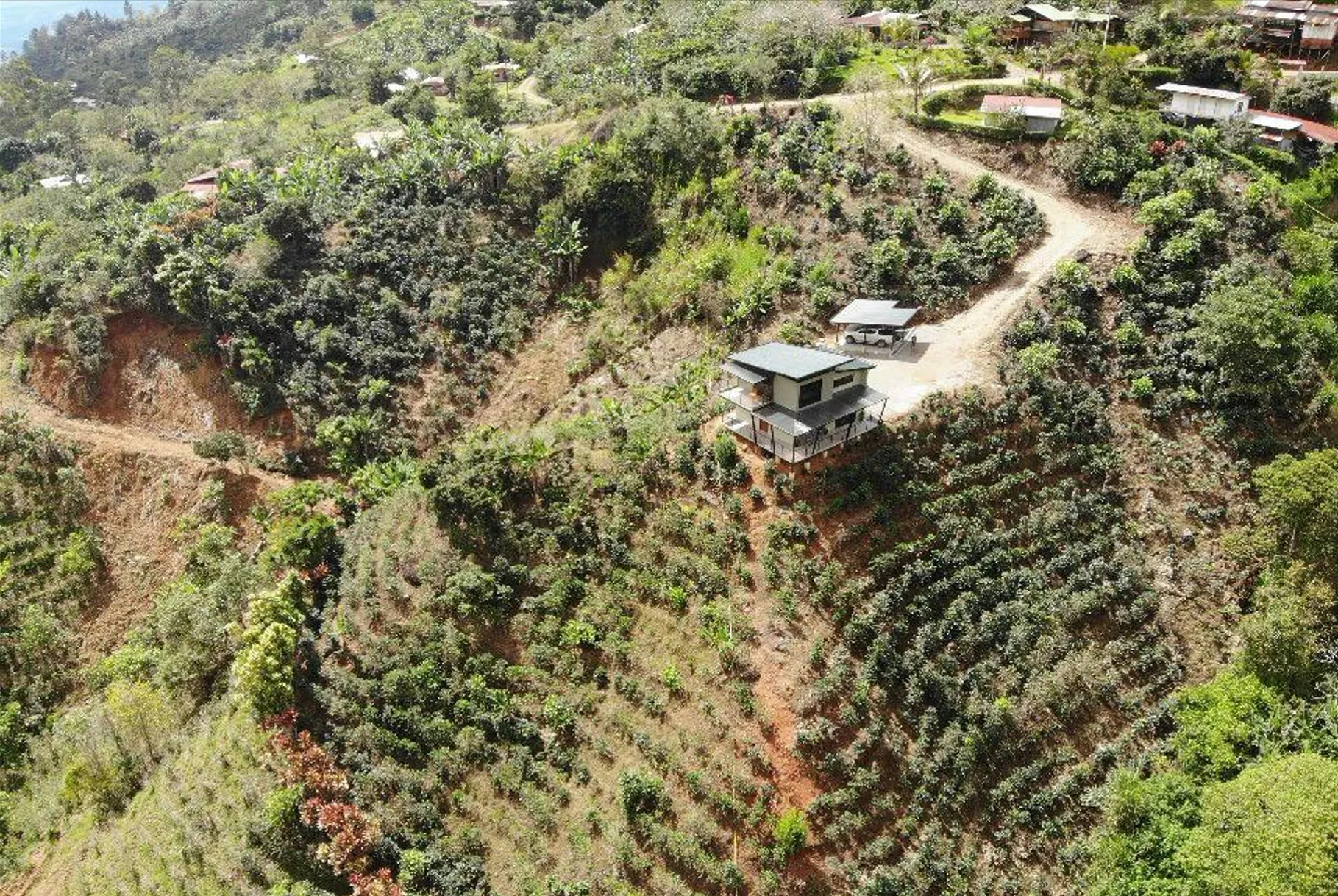 MODERN COUNTRY HOUSE WITH GUEST COTTAGE AMIDST A COFFEE PLANTATION - image 7