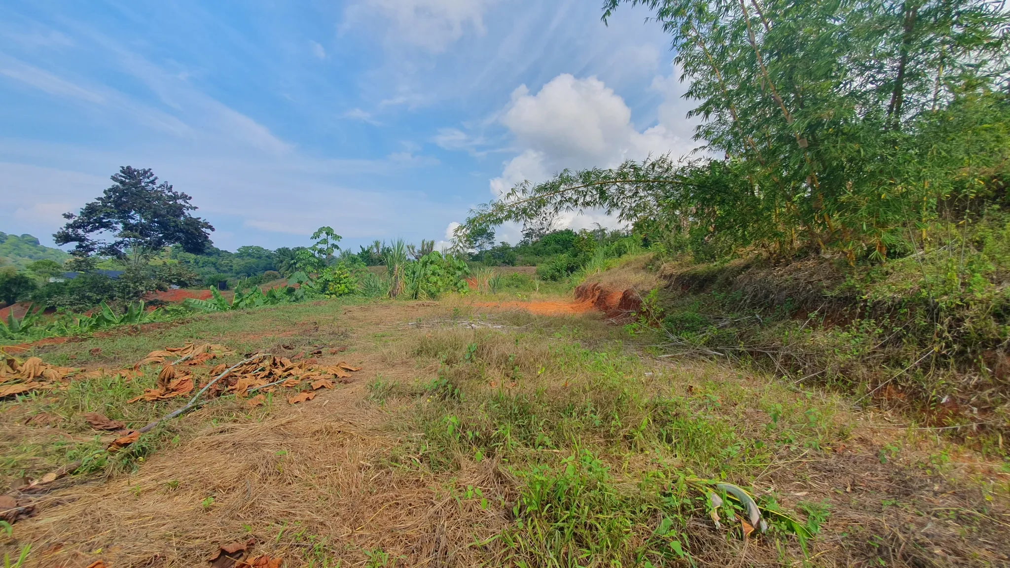 PEACEFUL AND PRIVATE LAND IN PUNTA MALA, OJOCHAL - image 5