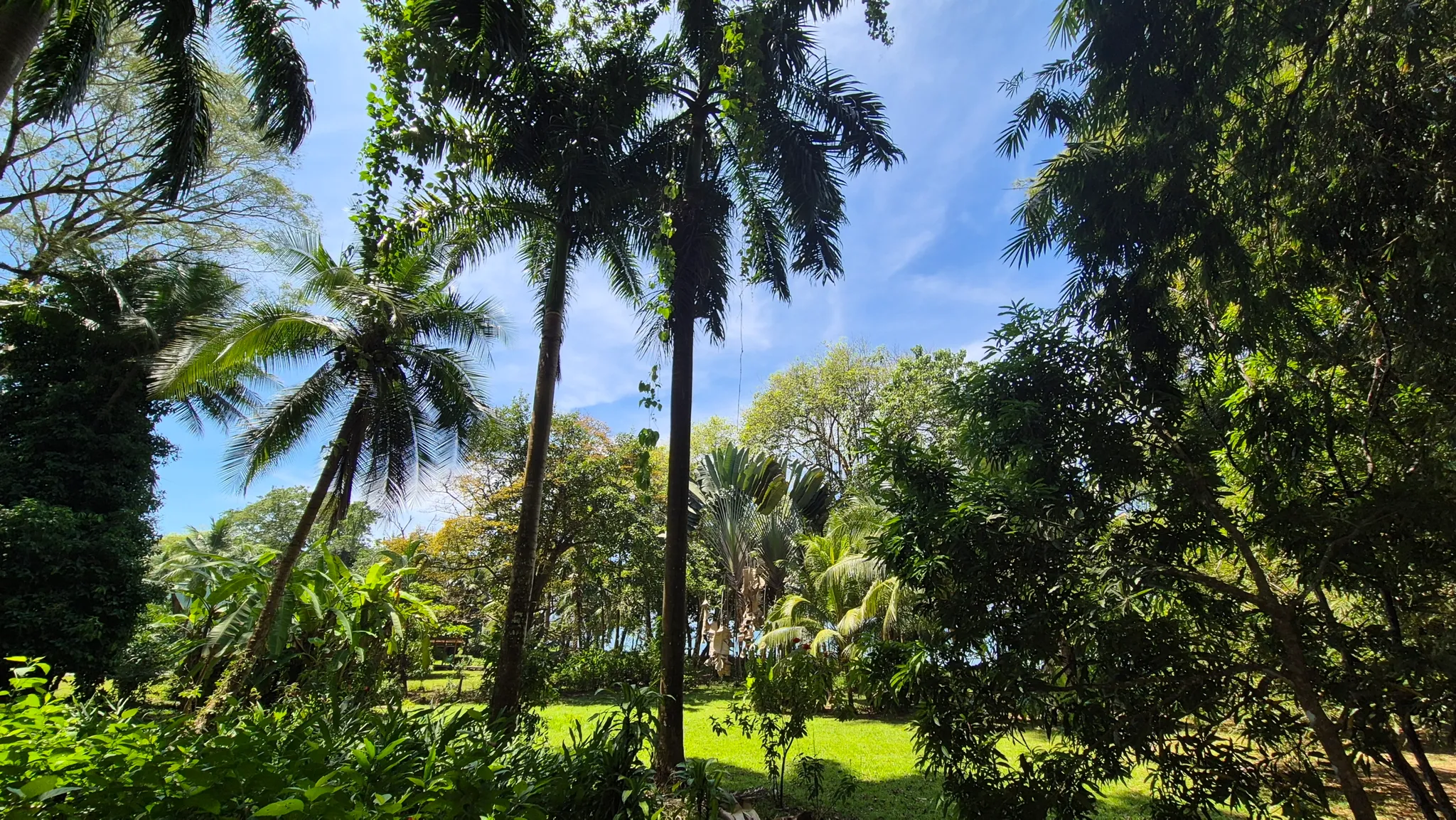 Dream Beachfront Property at Ballena Beach in Uvita, Costa Rica - image 7