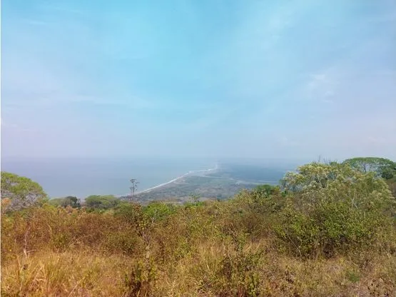 Extraordinary property with enormous potential in Tarcoles - image 3
