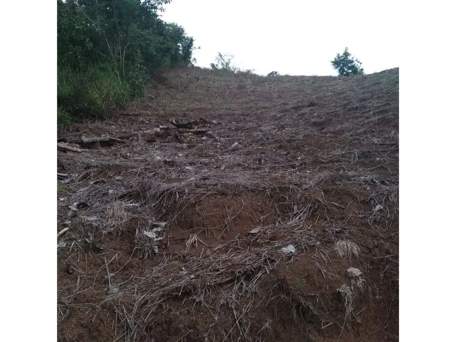  Beautiful Plot Of Land In Bijagual - image 6