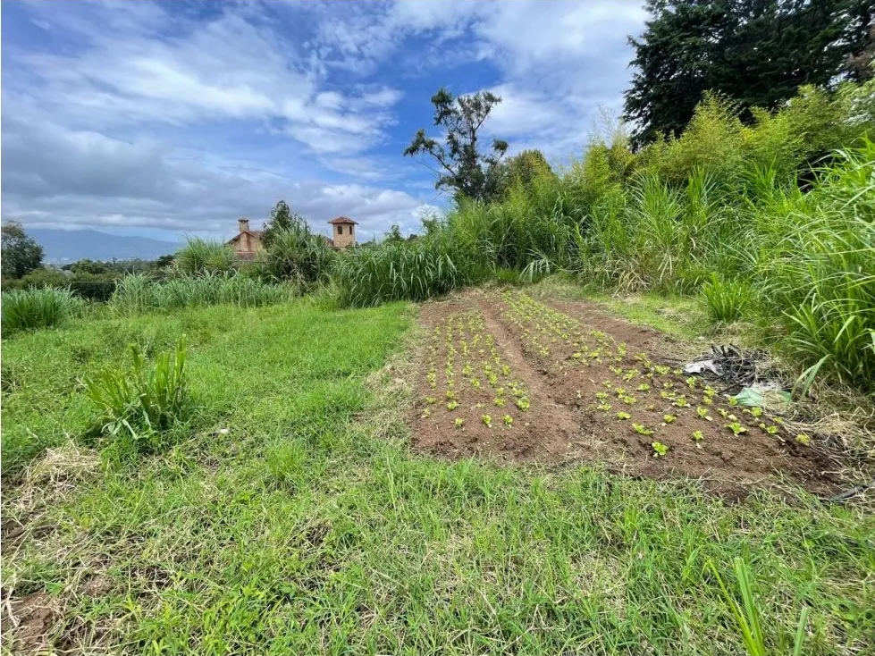 For Sale: This beautiful 1.12-hectare estate in Santa Cecilia de San Isidro de Heredia, on Caricias Street. - image 10