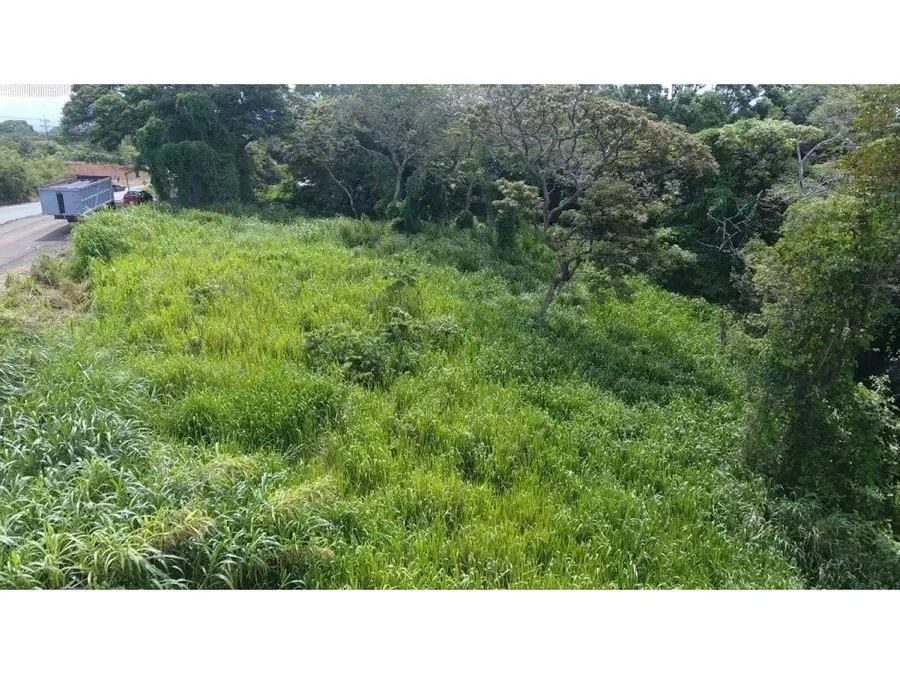 Selling a large lot in La Garita, Alajuela - image 5