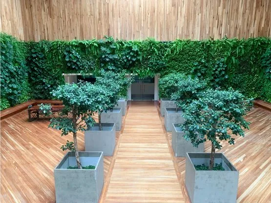 Espectaculares 1300 m2 de oficinas, en La Sabana! - image 10