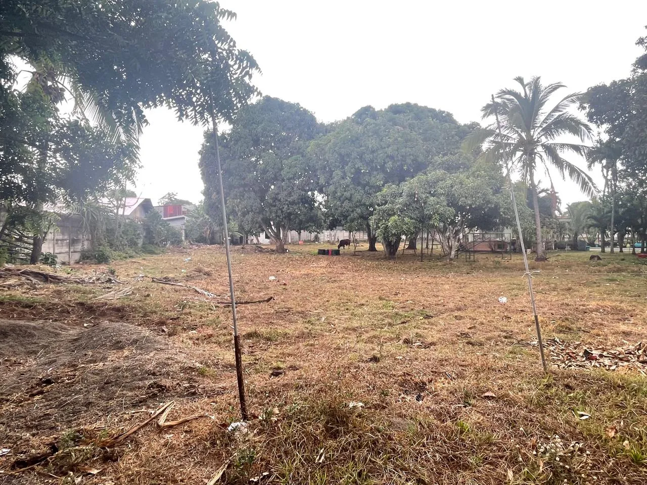FOR SALE: Development LAND in La Guacima of Alajuela - image 8