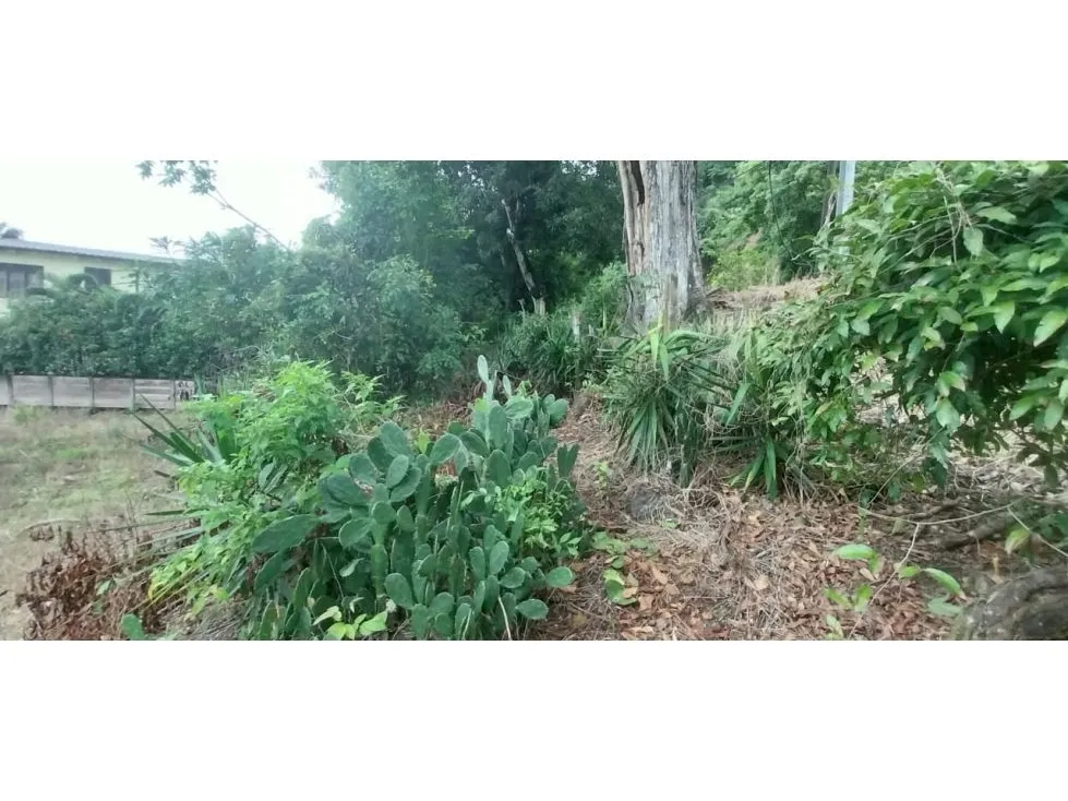  Lot Of Land With a Great Potential To Invesment - image 10