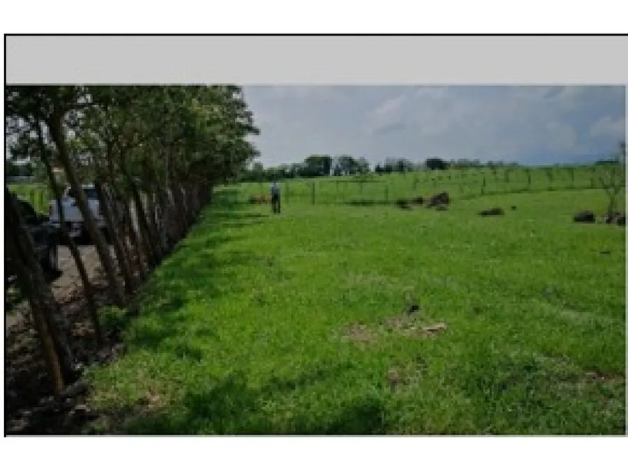 Lote plano en Turrucares - image 7