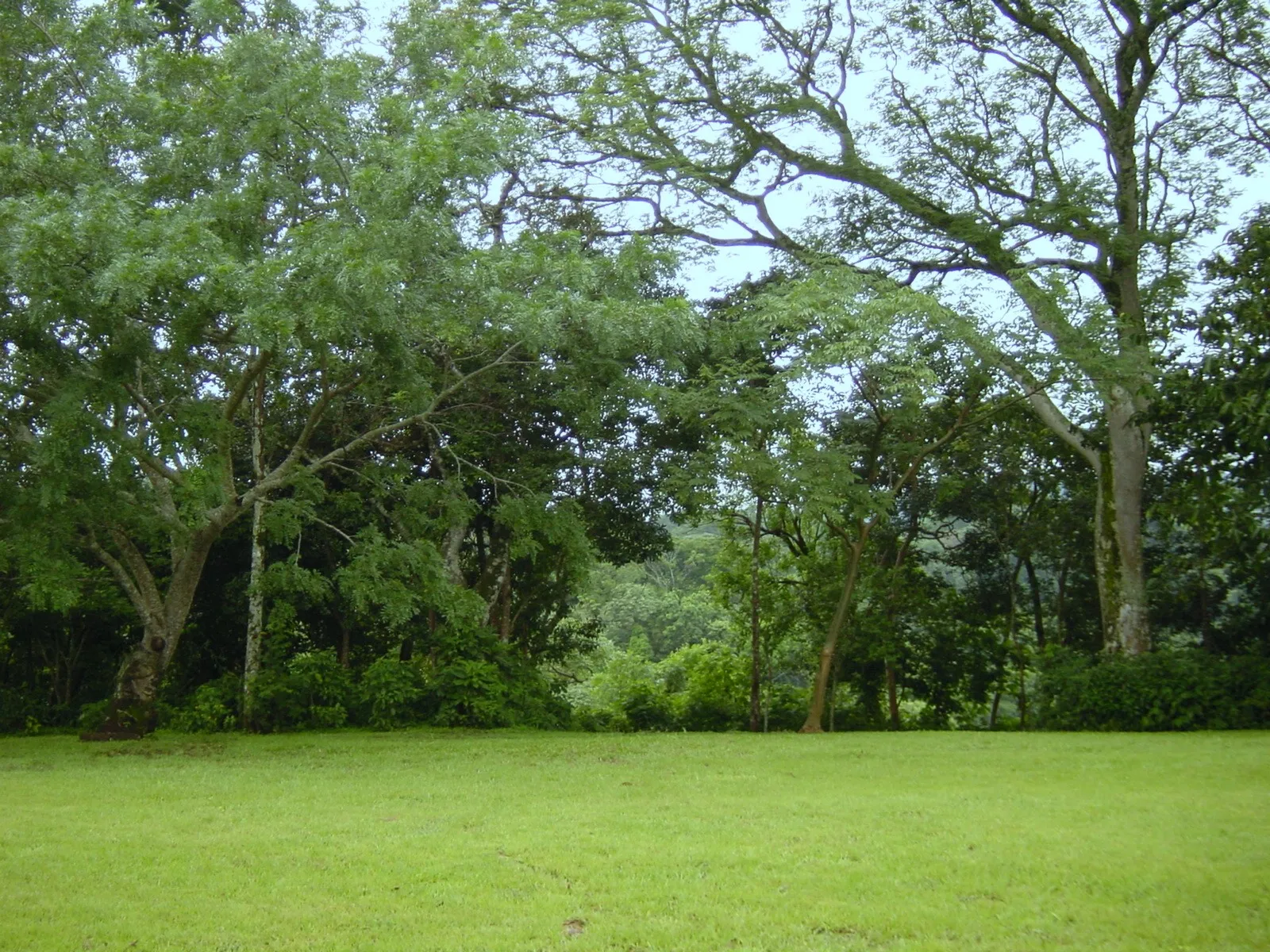 Home construction site property in Cuidad Colón - Lot for sale - image 14