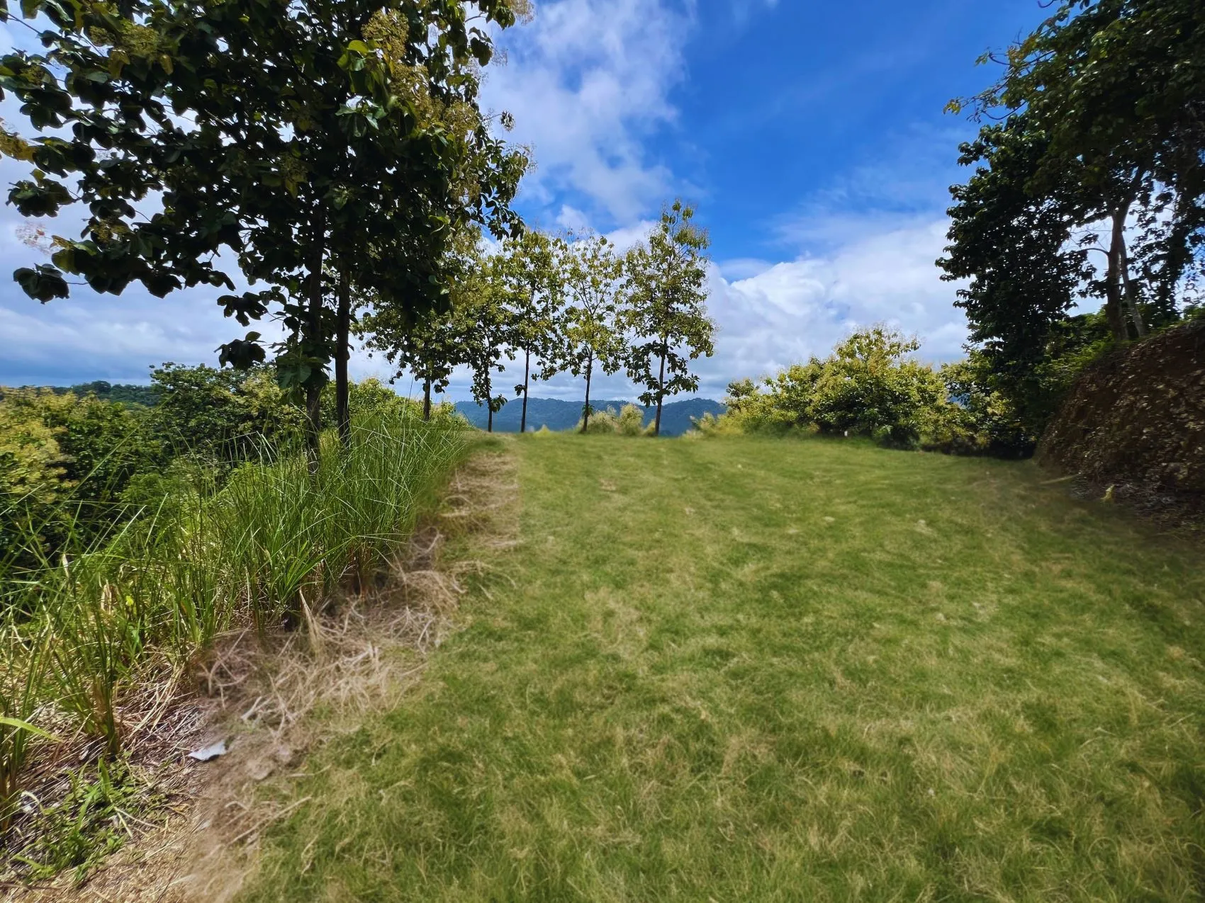 Beautiful Oceanview lot in community in Tambor - image 6