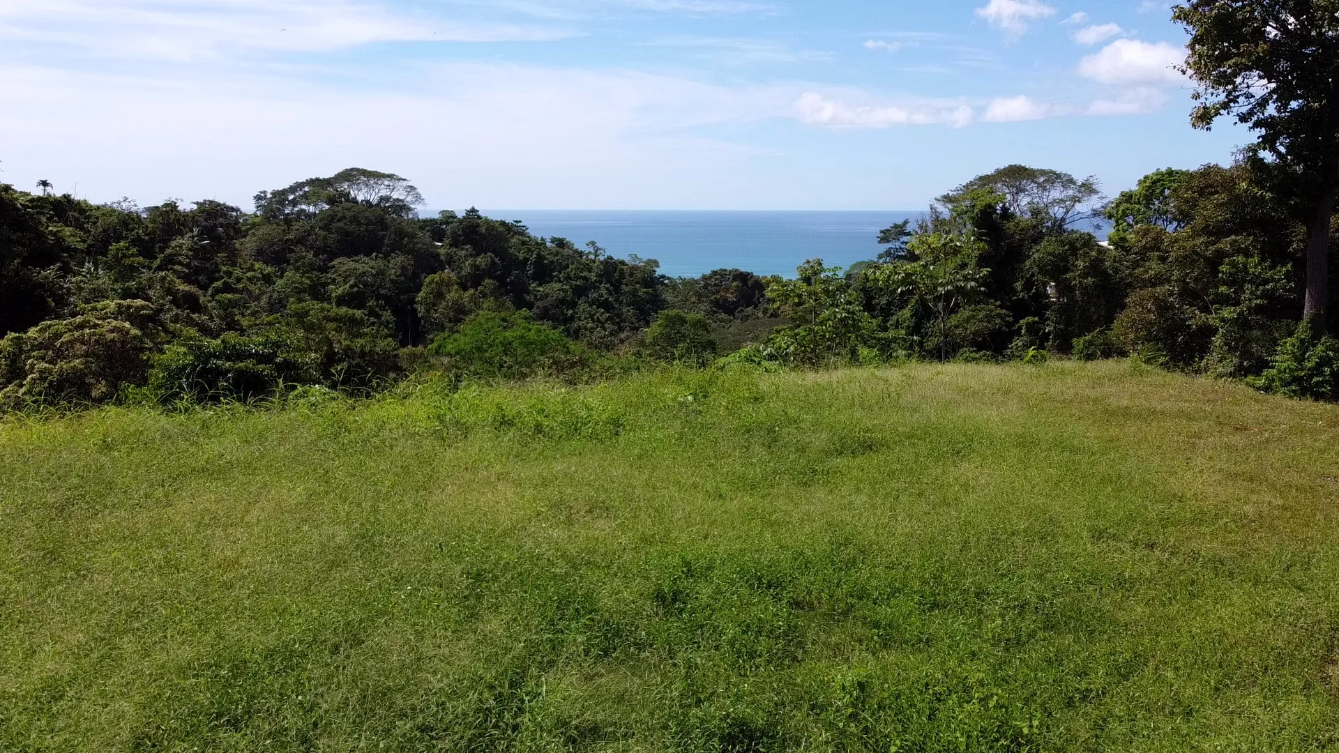 Ocean View Lot in Mal Pais - image 4