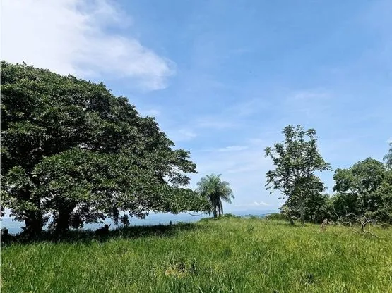 For sale: Developable land in Desmonte - image 13