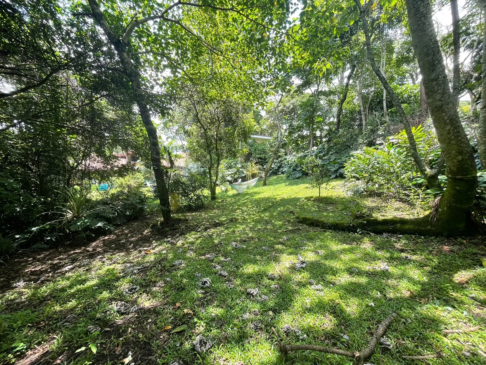 Lots for sale in Santa Ana Mountains - image 7