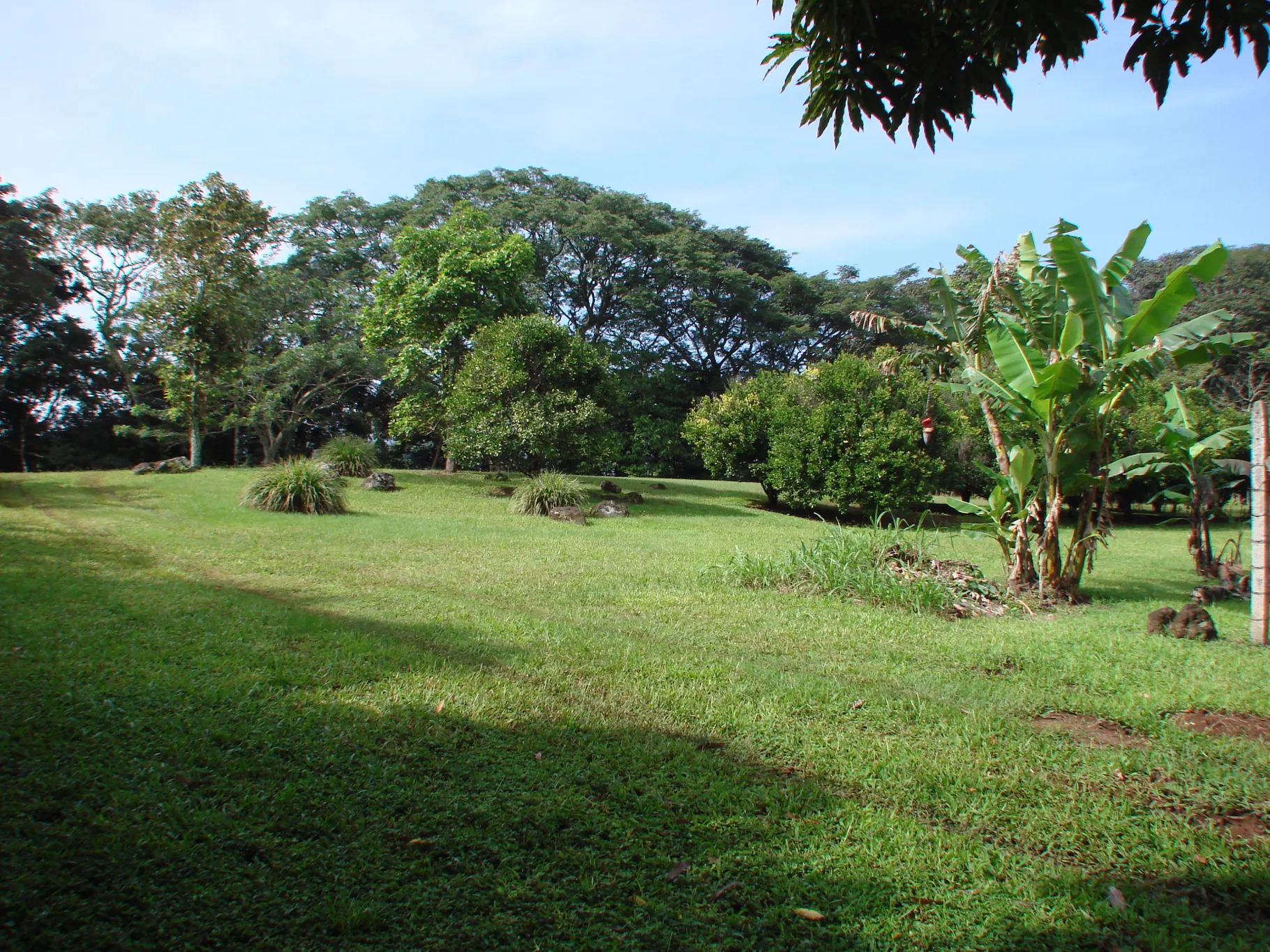 Home construction site property in Cuidad Colón - Lot for sale - image 6