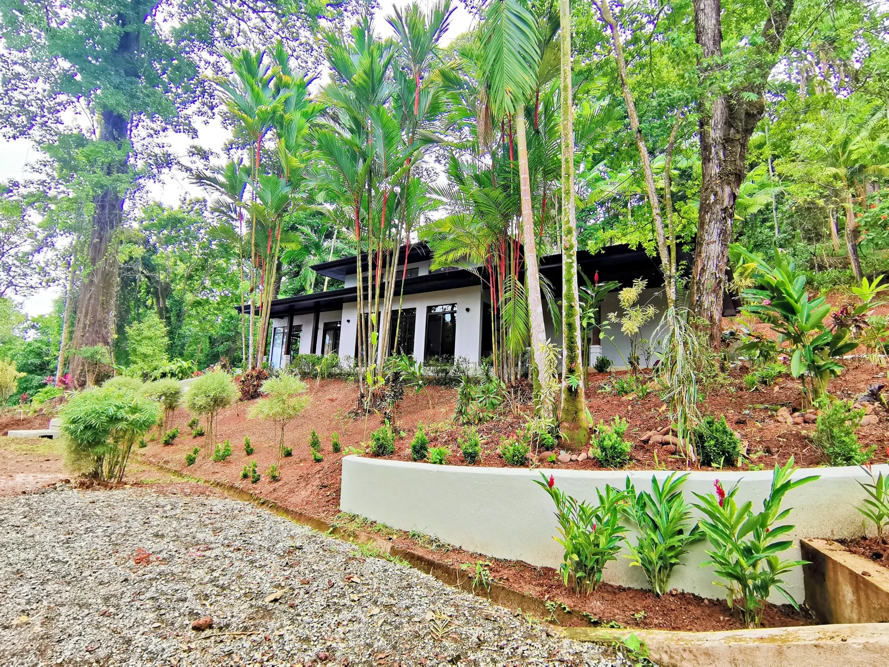 MAJESTIC VIEW HOUSE IN DOMINICAL, COSTA RICA - image 4