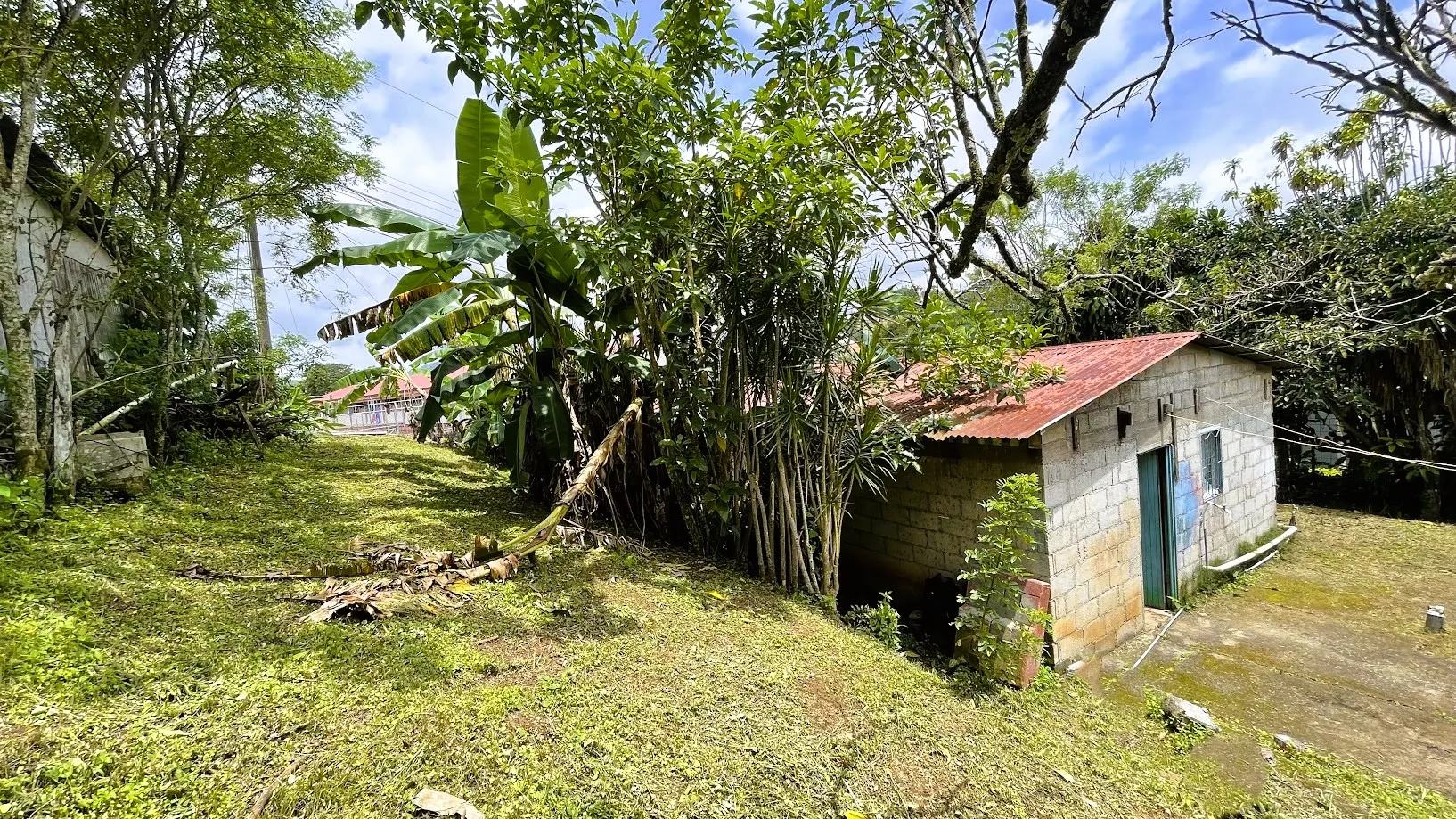 LOT WITH A HOUSE IN SAN ISIDRO, SAN RAMON  - image 13