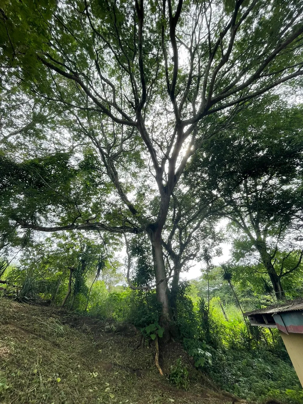 For Sale: Quinta in Turrucares Alajuela - image 7