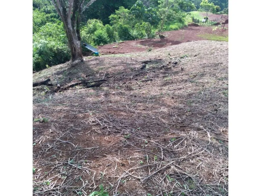  Beautiful Plot Of Land In Bijagual - image 3