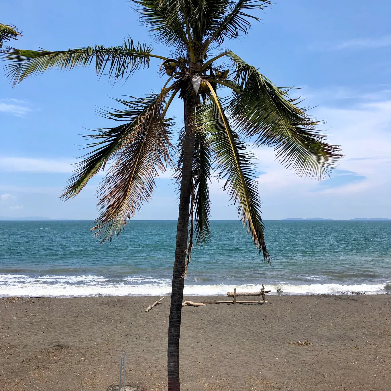 Sale / Beach Front Hotel, El Cocal, Puntarenas - image 12