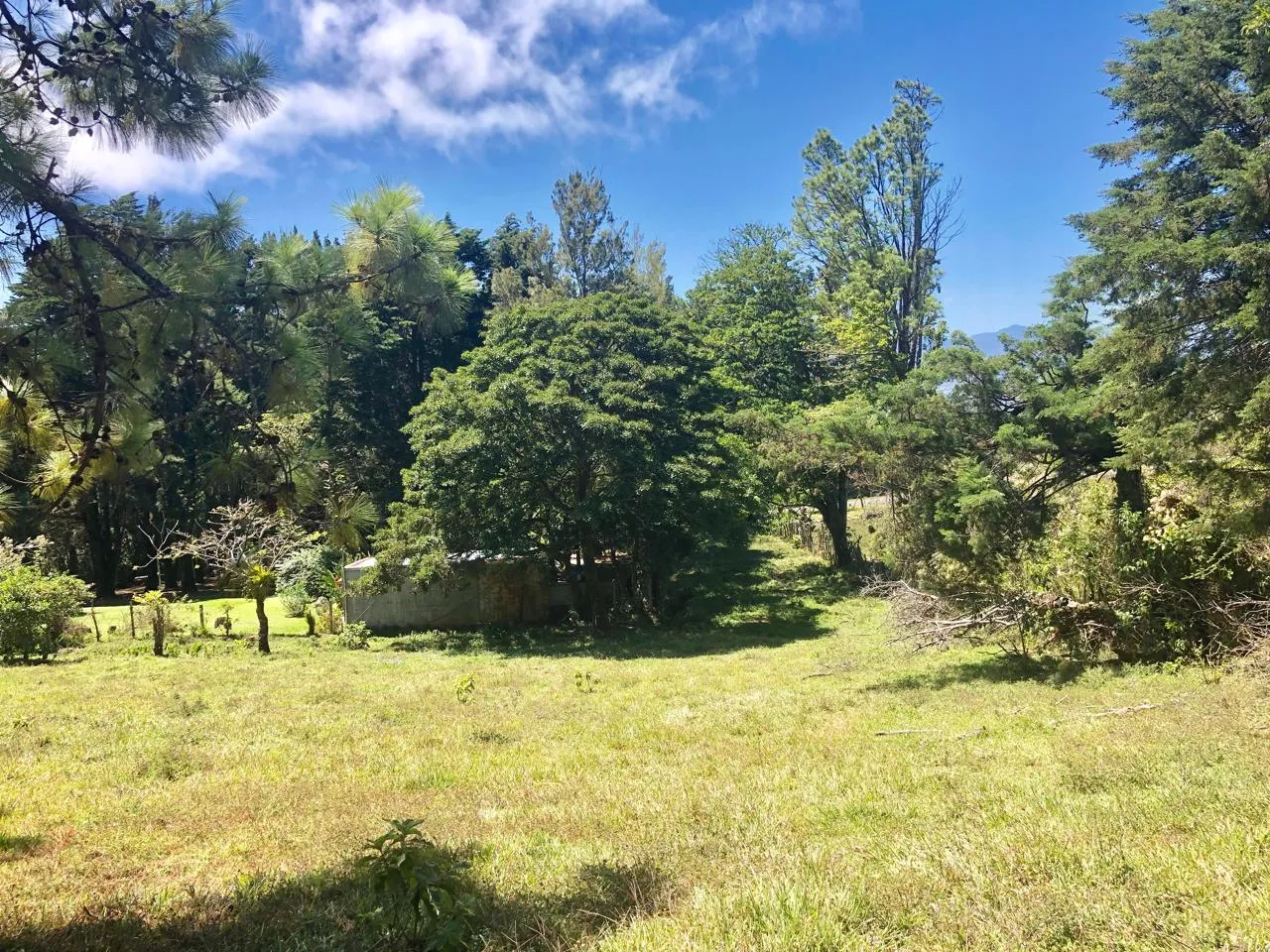 Sale / Beautiful Land (With Permission for Commercial Use) San Isidro, Heredia - image 4