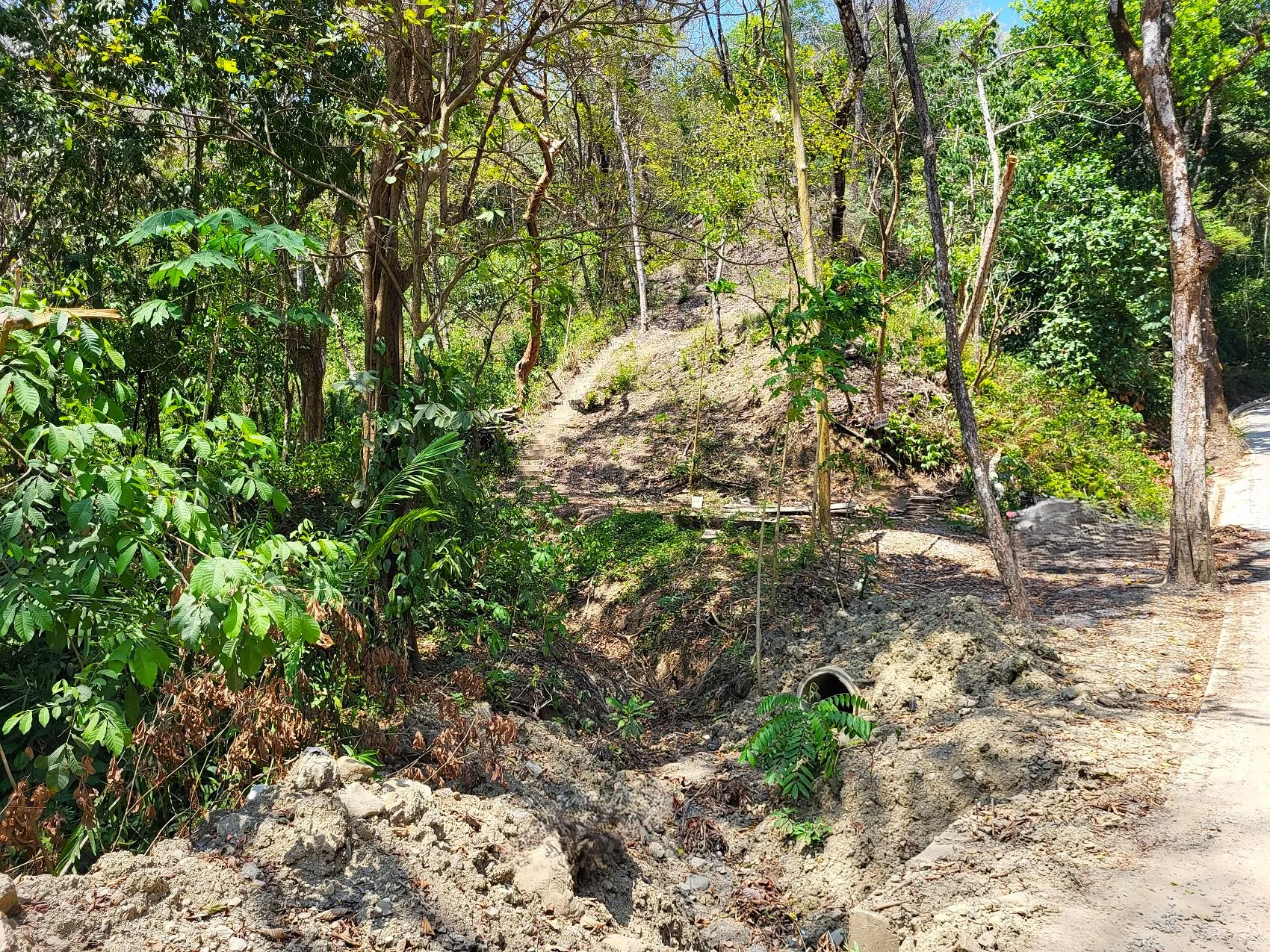 Prime Tropical Dream Lot For Sale - image 7