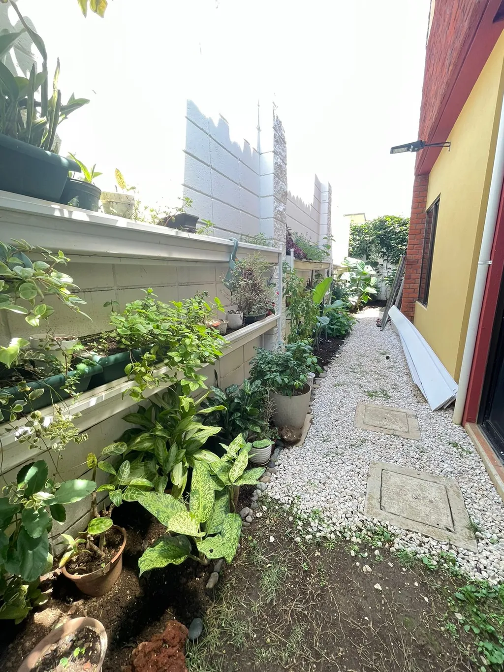 House for Sale or Rent in Belen - image 10
