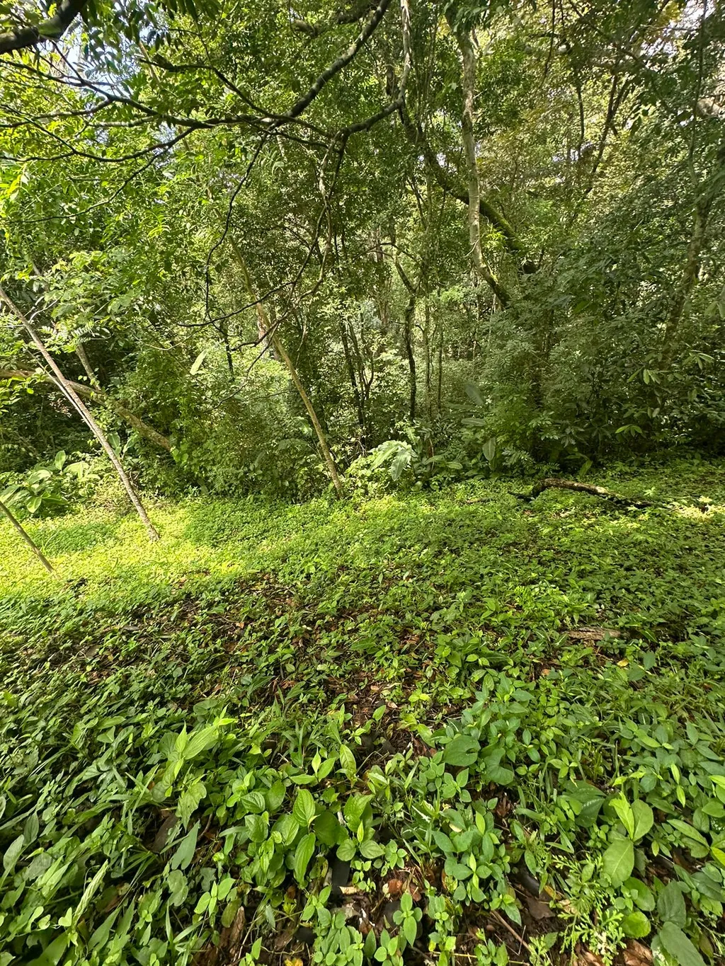 Build Your Future in Turrubares: Nature, Development, and Quality of Life - image 5