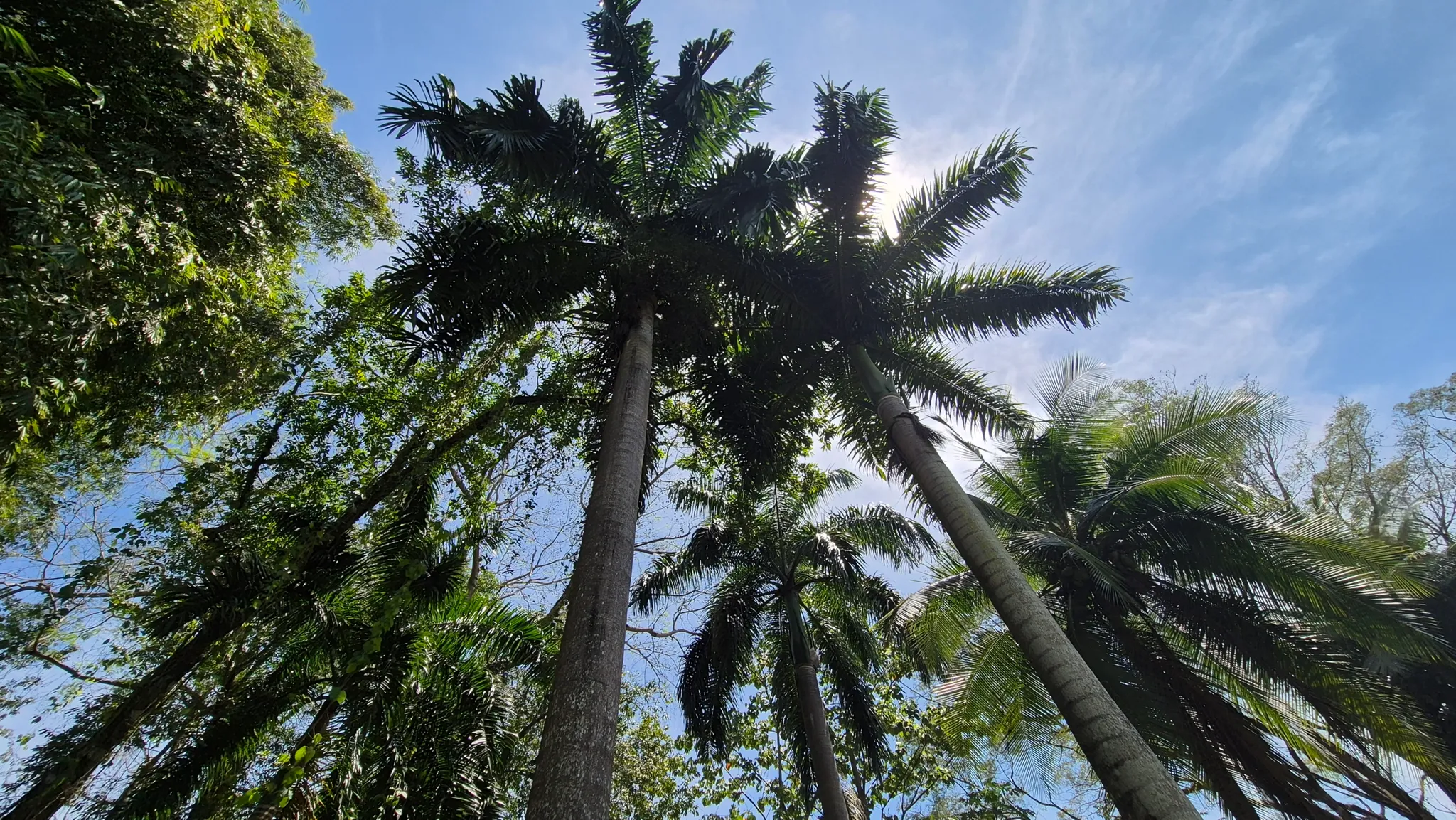Dream Beachfront Property at Ballena Beach in Uvita, Costa Rica - image 14