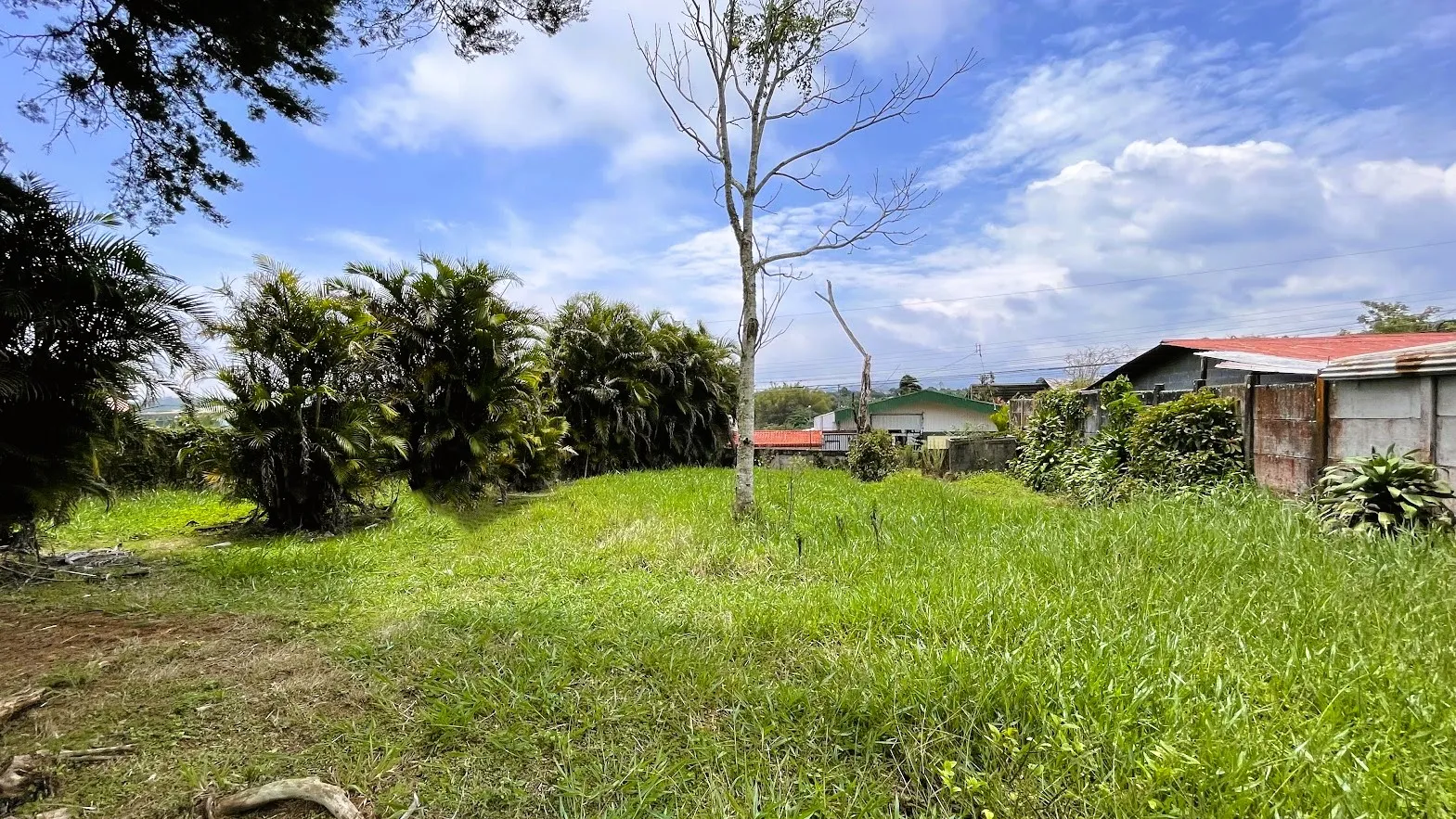 LOT FOR SALE IN SAN ISIDRO, SAN RAMON - image 2