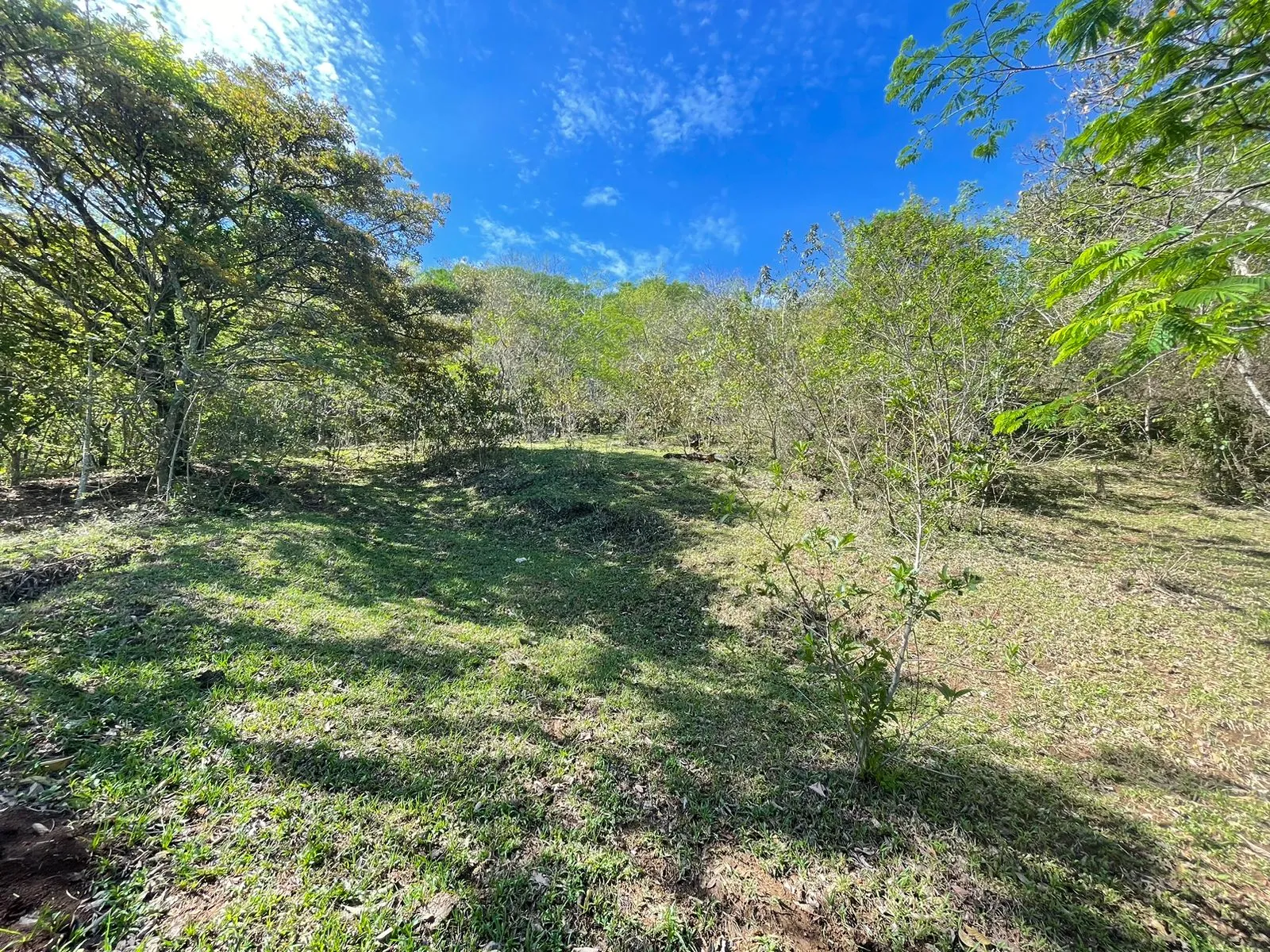 For Sale: Land for Development in Santa Ana - image 5