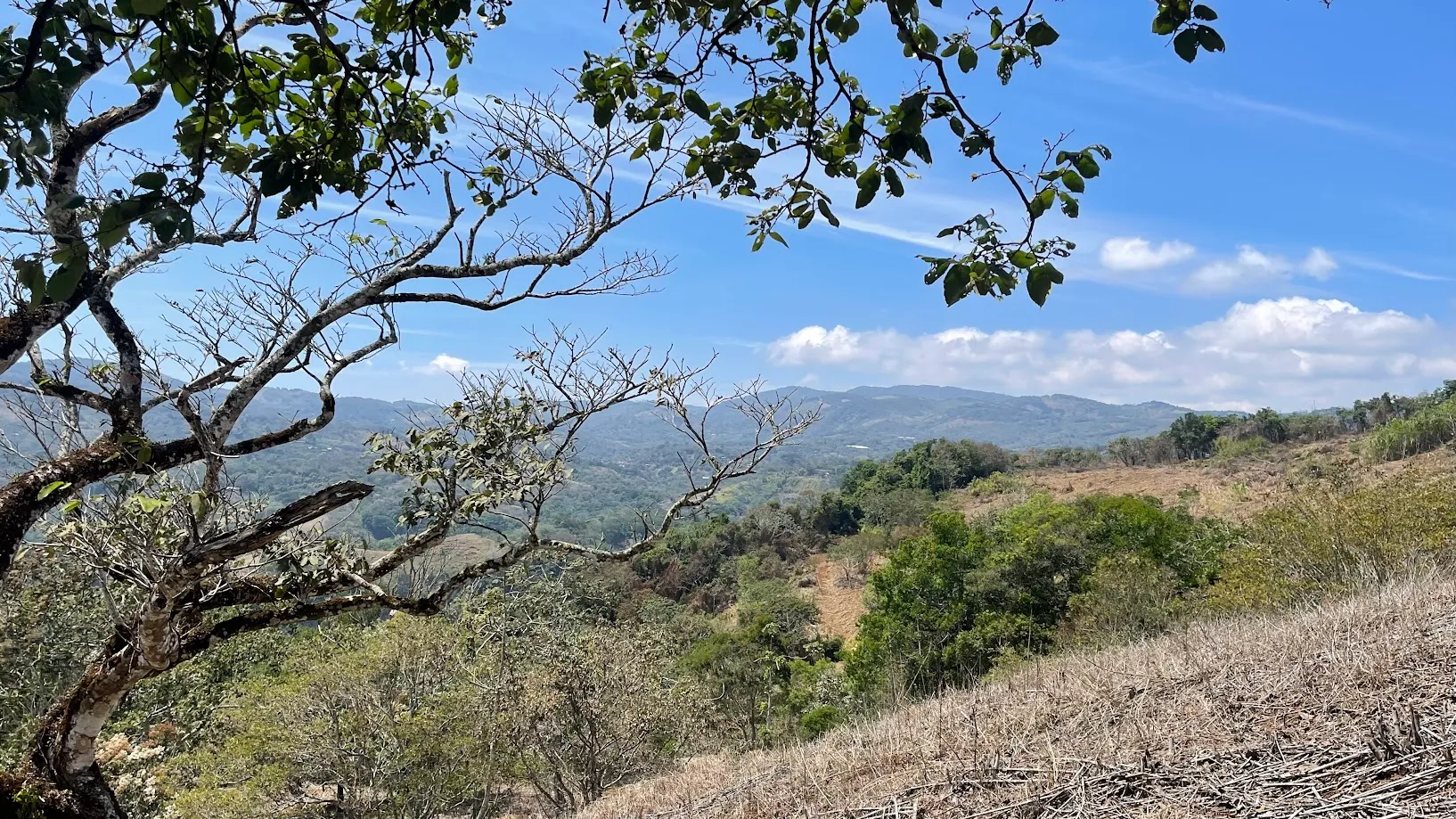 LOT FOR SALE IN SAN PEDRO, SAN RAMON - image 2