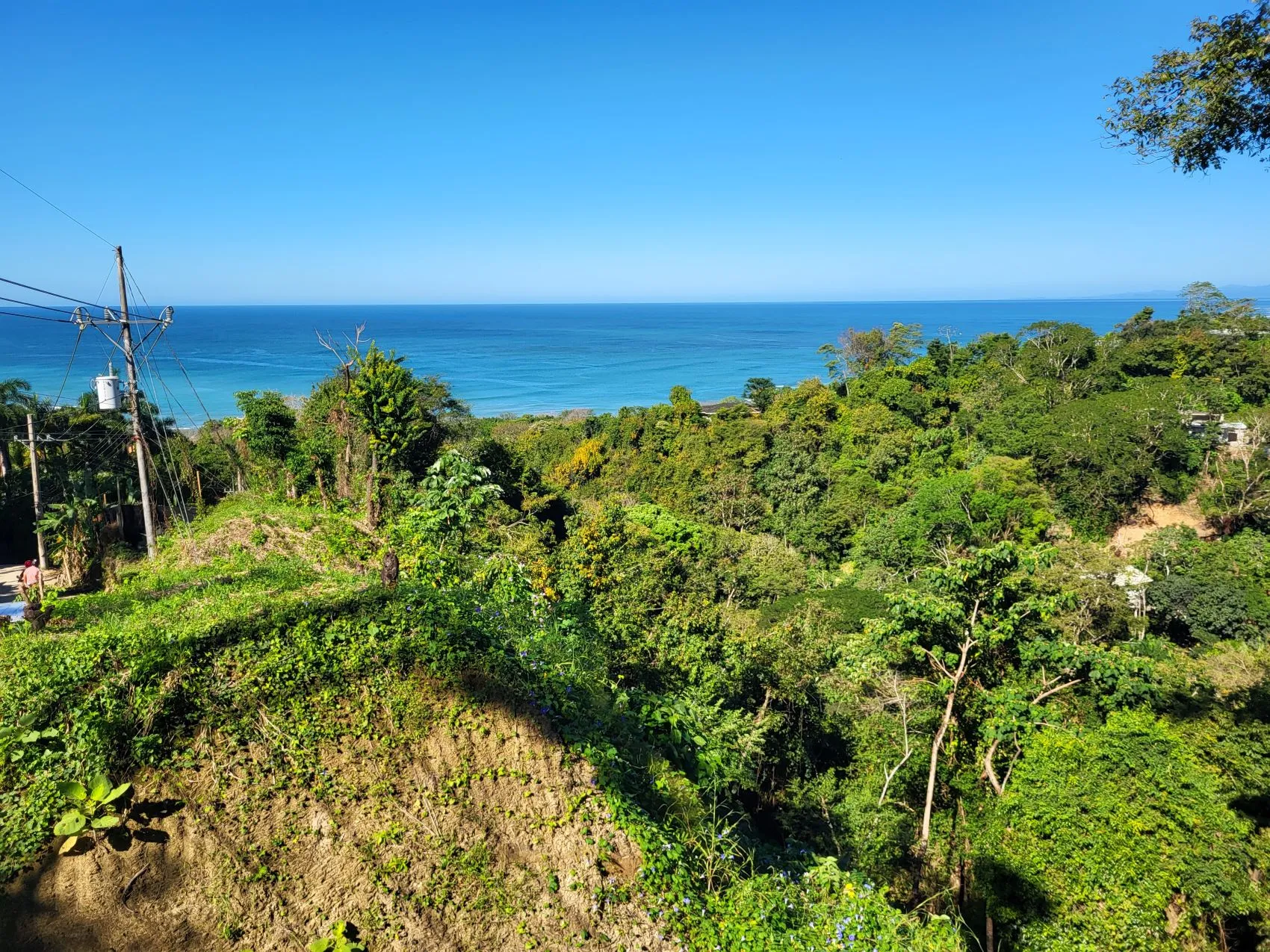 Beautiful 1.8 (18,000 m2) Hectare Mountainside Ocean View Lot in Mal Pais - image 5