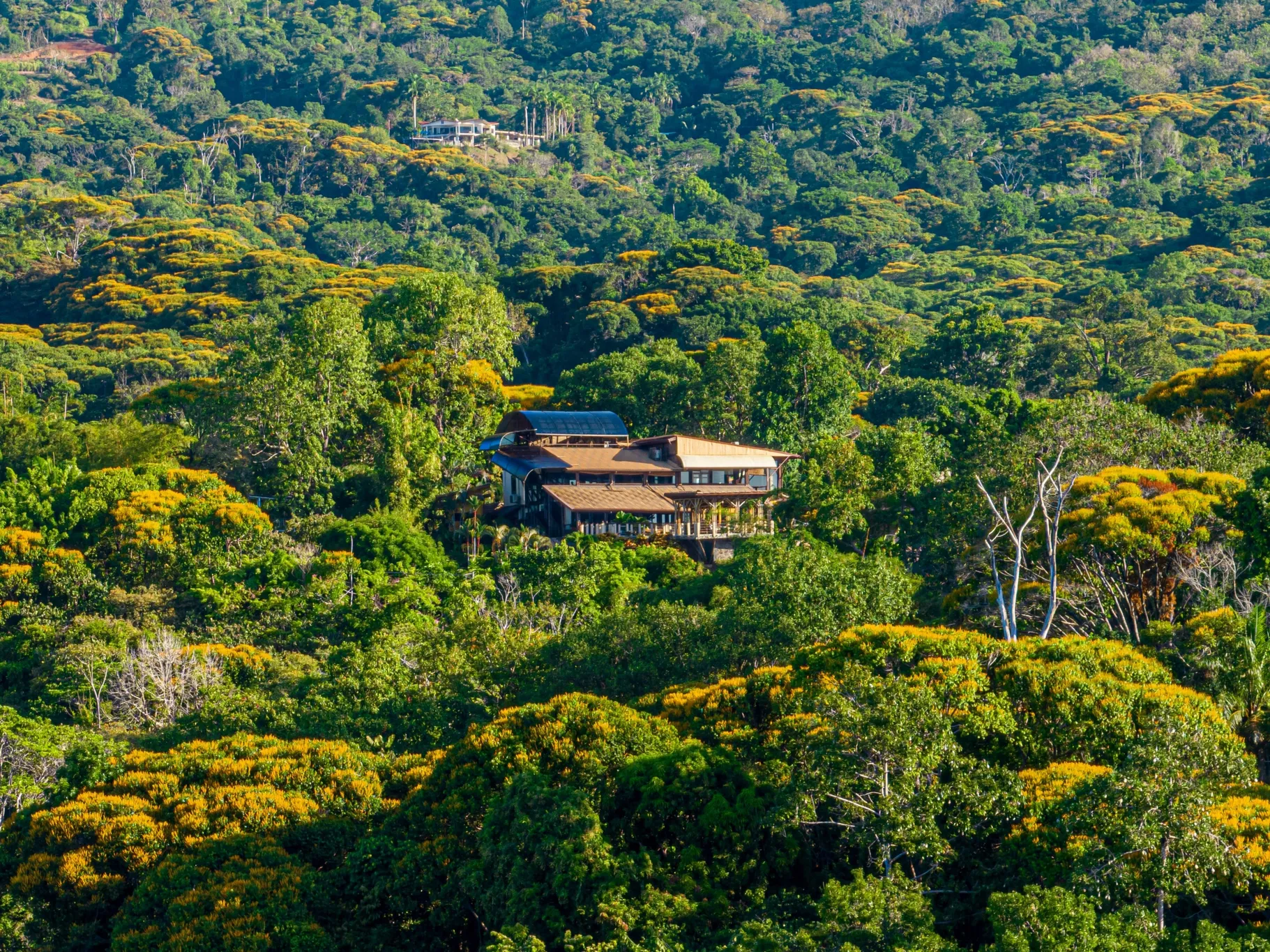 LUXURIOUS TROPICAL LIFESTYLE HOUSE IN DOMINICAL, COSTA RICA – CASA RAMON - image 6