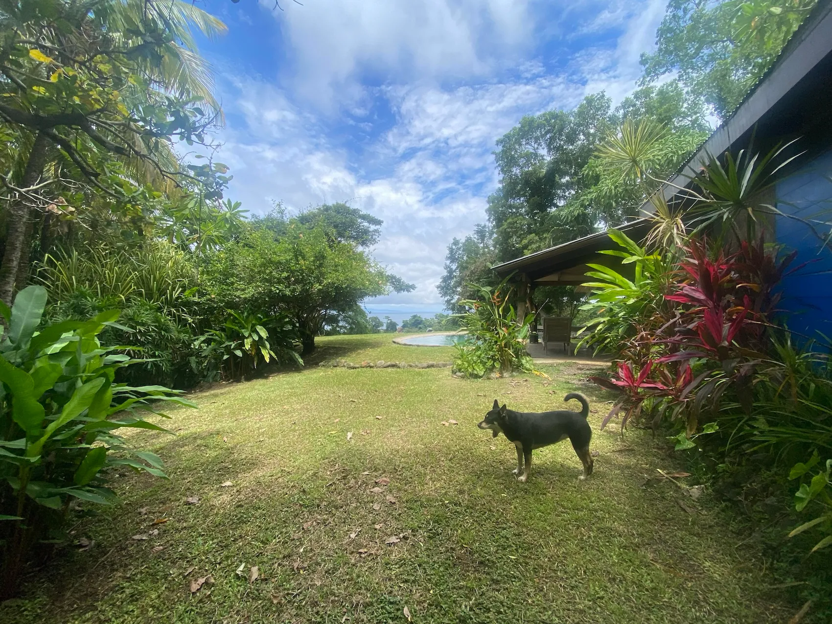 Amazing Ocean View Property with Exceptional Development Potential & Boho Home, Rustic Cabin and Pool in Delicias Near Montezuma - image 10