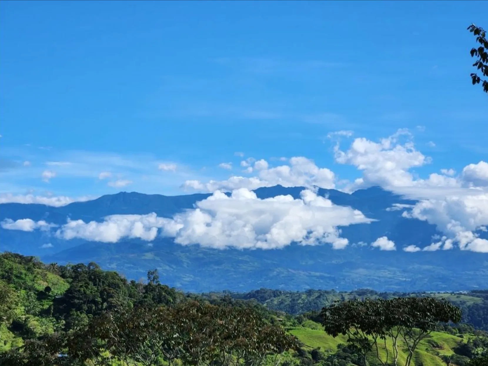 MOUNTAIN VIEW FARM & HOUSE IN PACUARITO, PEREZ ZELEDON - image 2