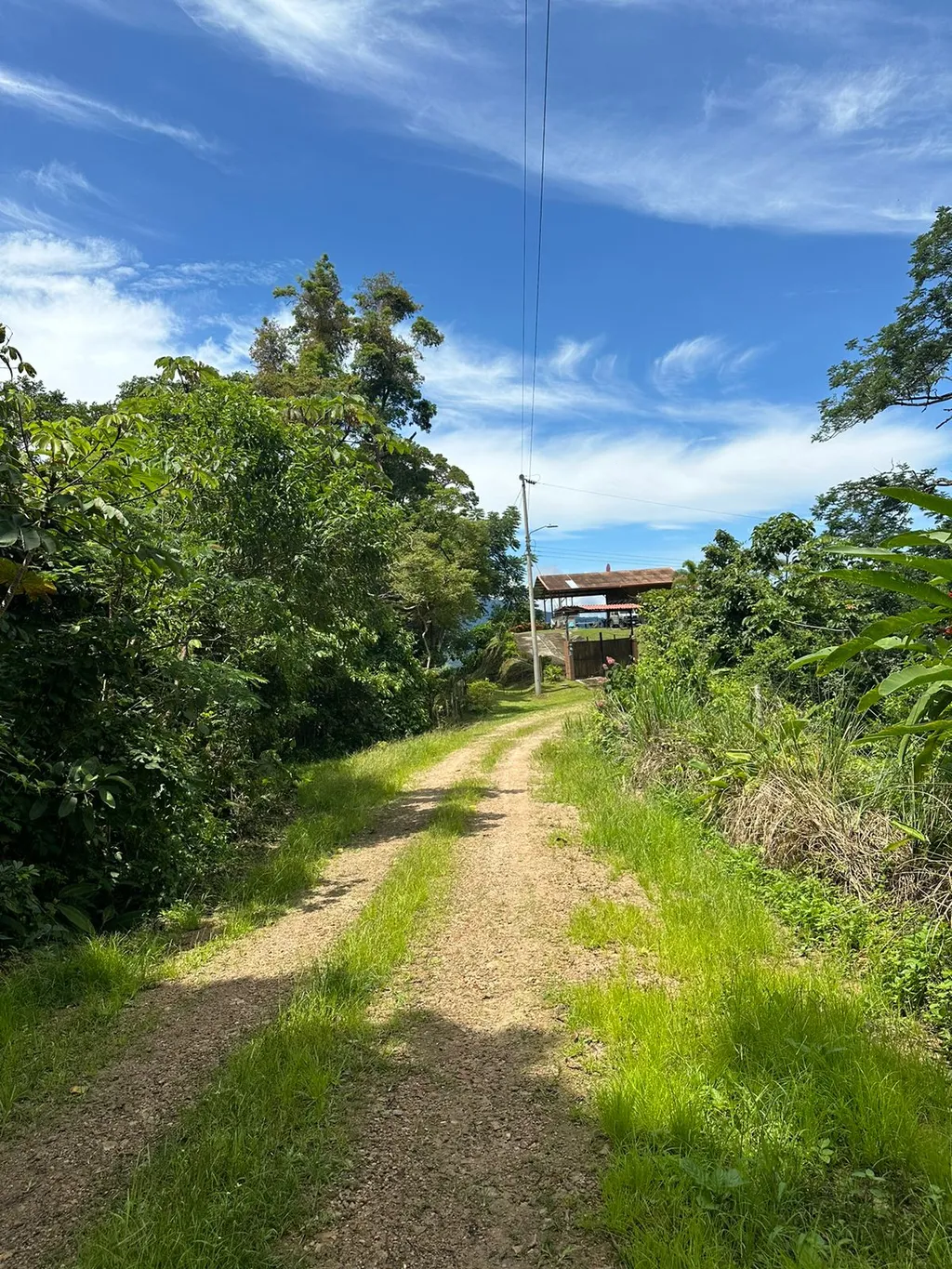 Build Your Future in Turrubares: Nature, Development, and Quality of Life - image 2