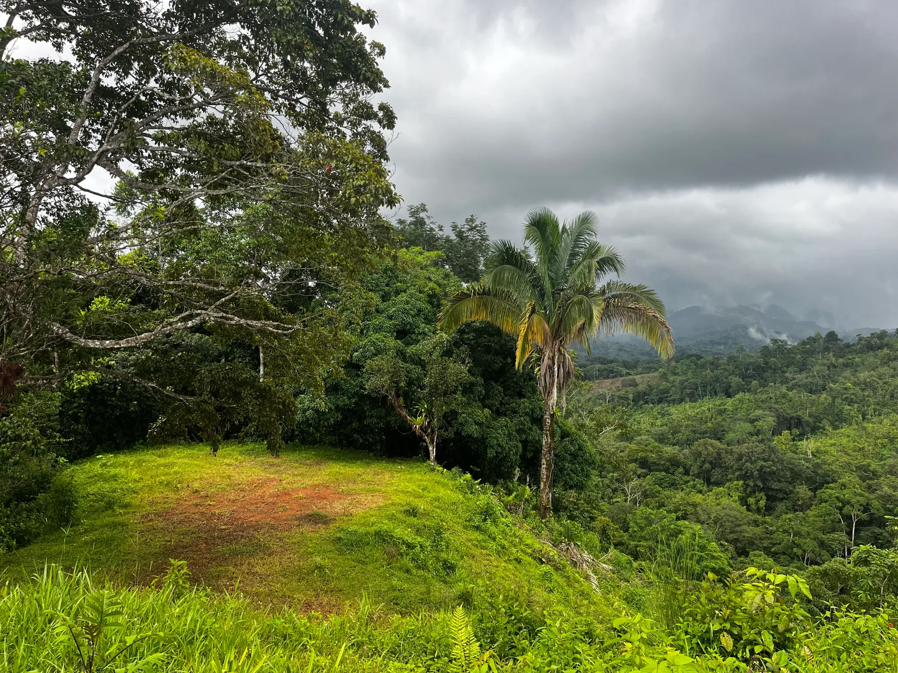  Spectacular Ecological Mountain Farm in Bijagual - image 6
