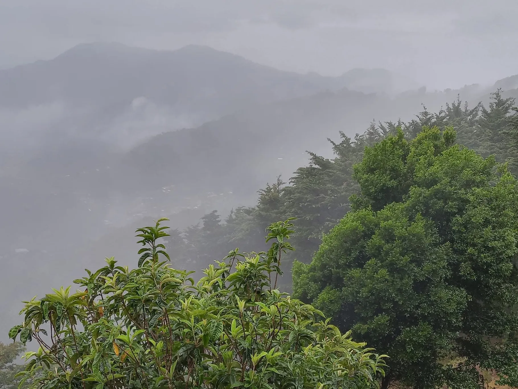 Sale / Beautiful Land (With Permission for Commercial Use) San Isidro, Heredia - image 14