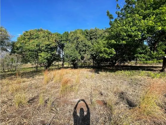 For Sale: Beautiful flat lot in La Ceiba of Orotina - image 10