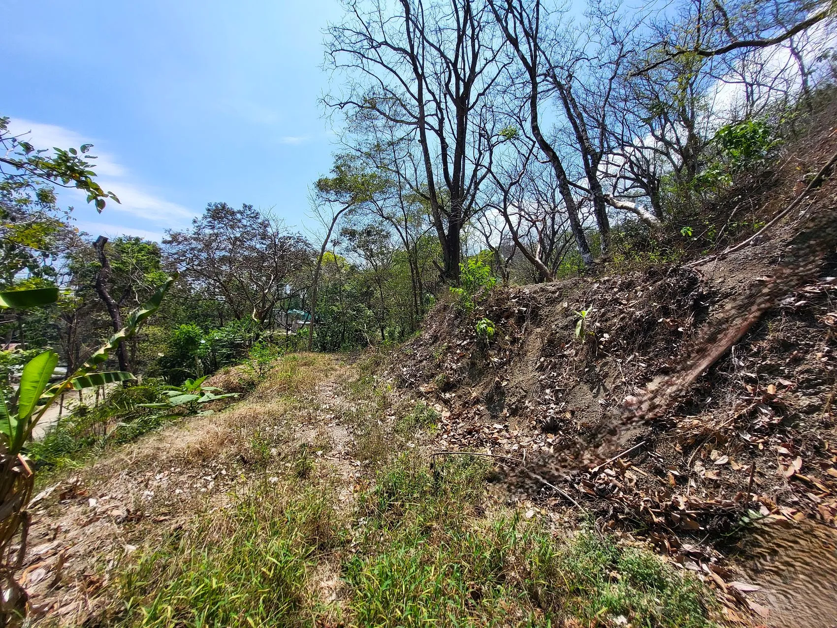 Prime Tropical Dream Lot For Sale - image 4