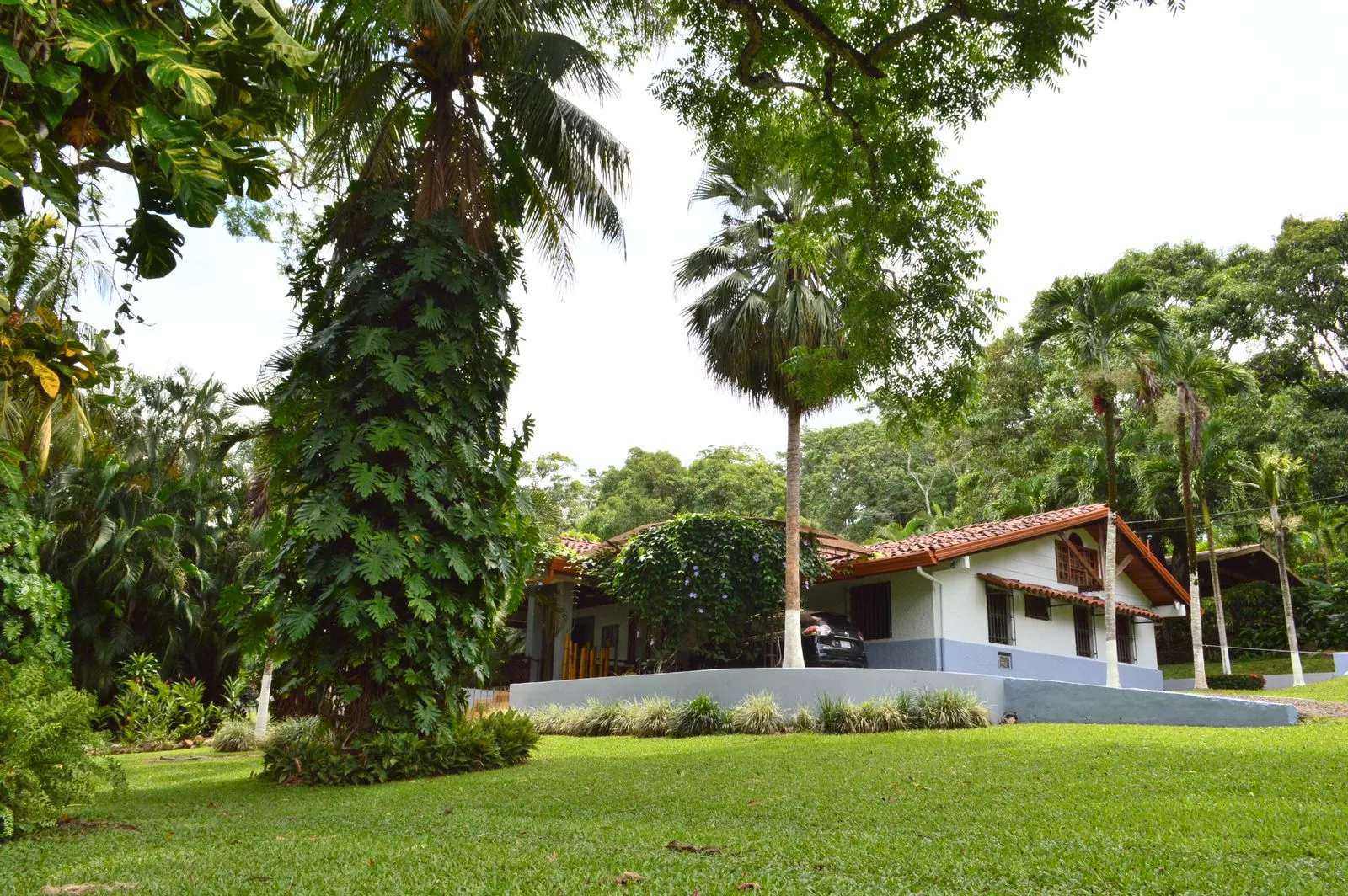 Sale / Beautiful Villa, Miramar, Puntarenas - image 13