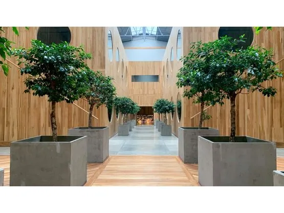 Espectaculares 1300 m2 de oficinas, en La Sabana! - image 9