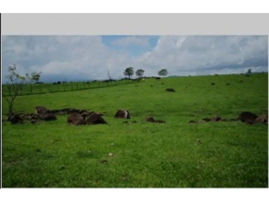 Lote plano en Turrucares - image 5