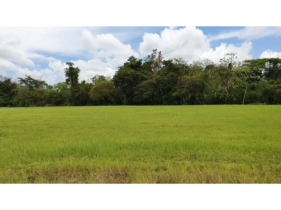 Spectacular 5062 mts Lot In A Private Community near Playa Hermosa - image 4